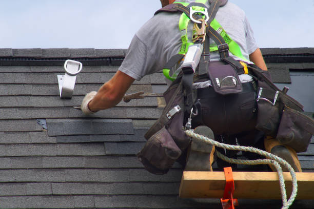 Best Roofing Contractor Near Me  in Honey Grove, TX