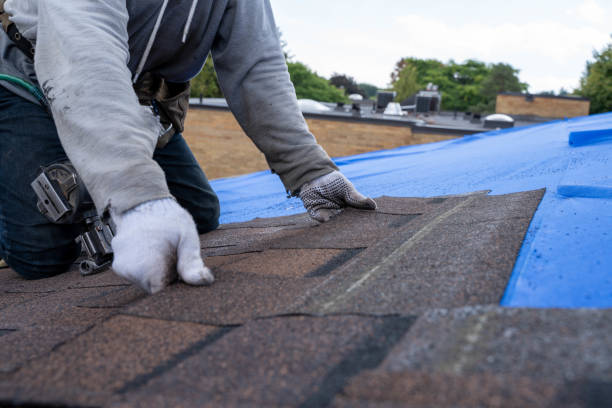 Best Flat Roof Repair Services  in Honey Grove, TX