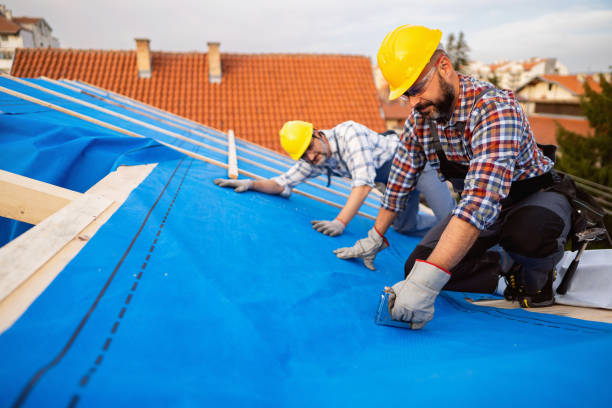 Best Residential Roof Replacement  in Honey Grove, TX