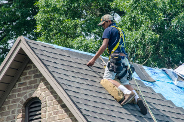Best Metal Roofing Contractor  in Honey Grove, TX
